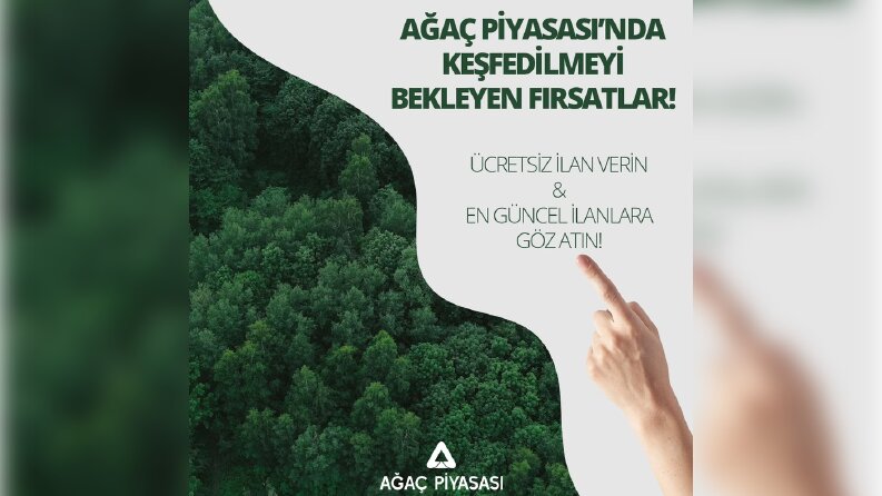 Ağaç Piyasası - Instagram Reklamı