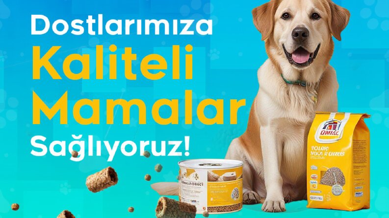 Petshop