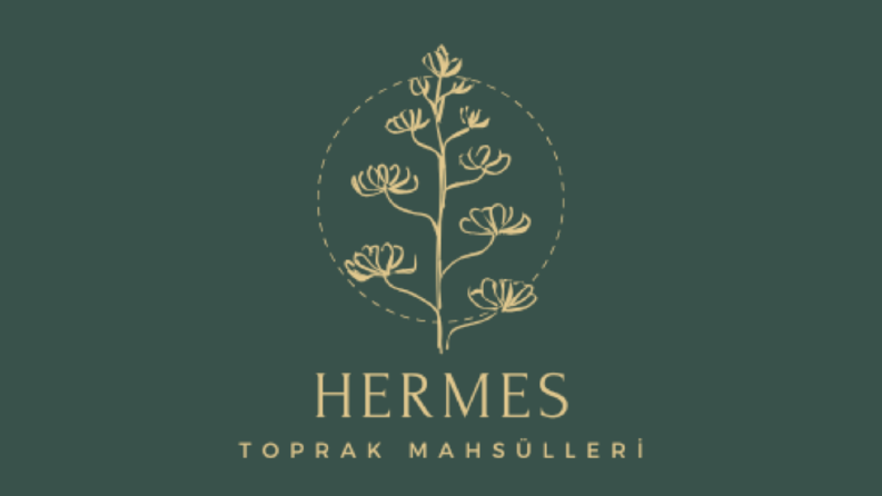Özgün Logo Tasarımı