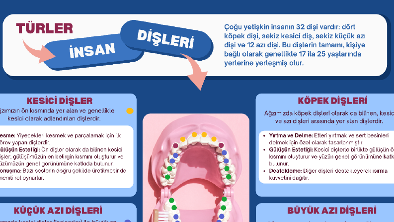 Ersöz Diş Kliniği için Hazırladığım Broşür Çalışmaları