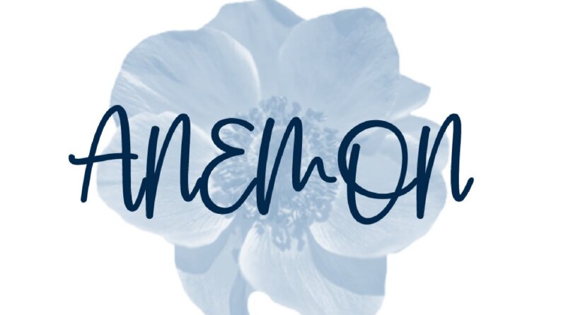Anemon Tasarım Logo Çalışması