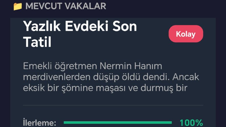 Web Tabanlı Etkileşimli Dedektif Oyunu