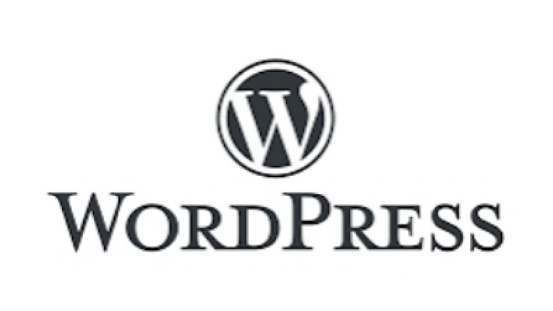 Wordpress için eklenti yazabilirim