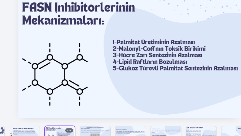 sunum hazırlama 