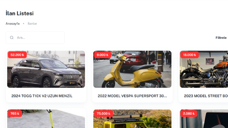 Geniş çaplı, ilanları içeren Website Tasarımı