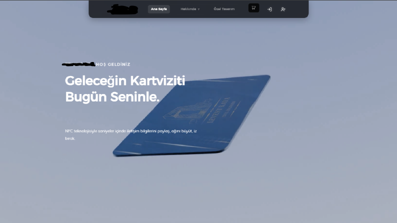üst düzey web sitesi