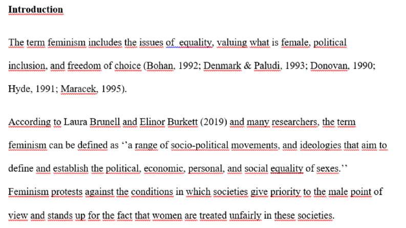 Feminism & Cinema Essay
