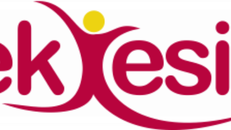 Logo Çalışması