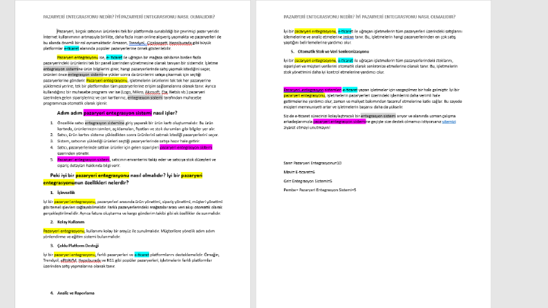 Pazaryeri Entegrasyon Sistemleri Blog Yazısı