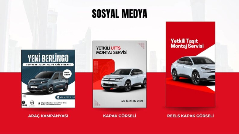 Citroen Diyarbakır - 2
