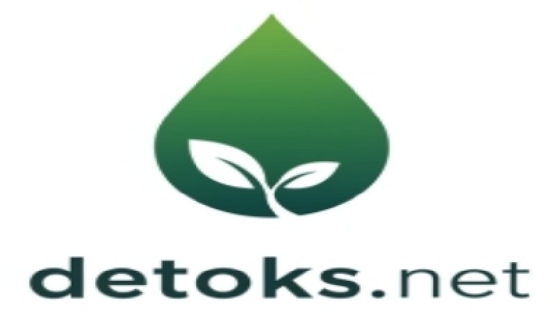 Detoks.net — Sağlık ve Yaşam Tarzı Odaklı Modern Web Projesi