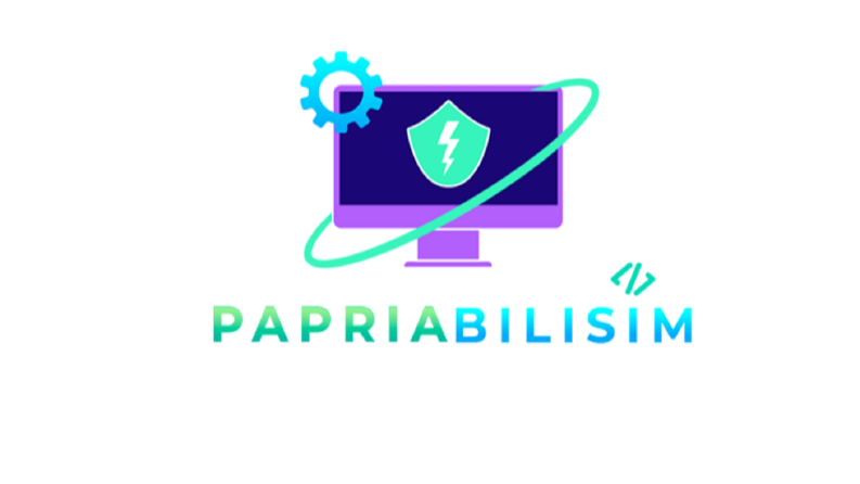 Papria Bilişim | Full-Stack Özel Yazılım