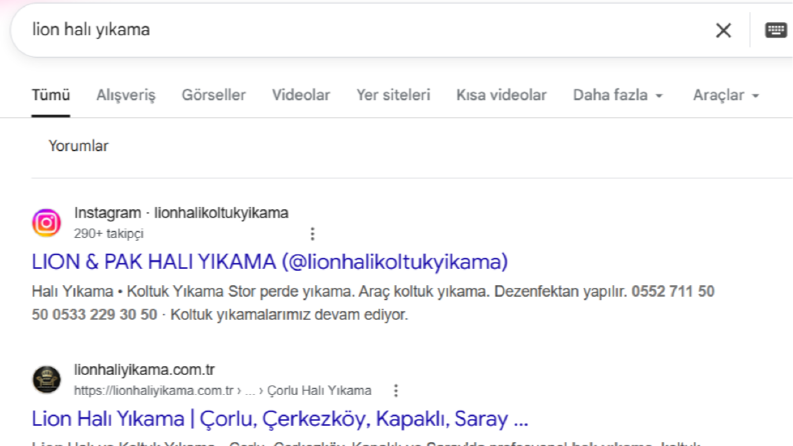 Lion Halı Yıkama