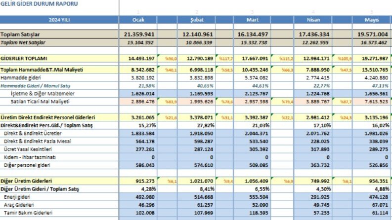 Logo ERP İçin Yönetim ve Mali SQL Raporları Geliştiririm