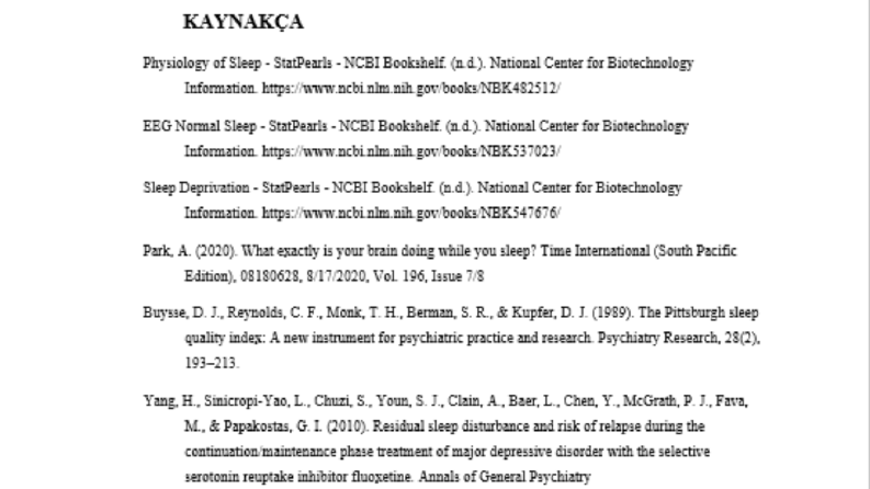 Örnek APA Formatında Hazırlanmış Kaynakça