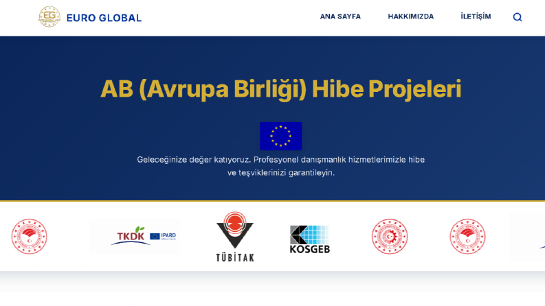 Euro Global - Premium Kurumsal Web Tasarımı