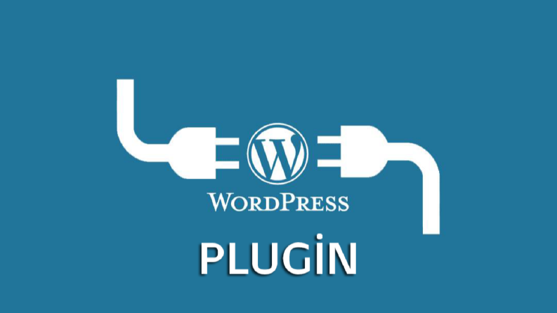 WP PLUGİN 2