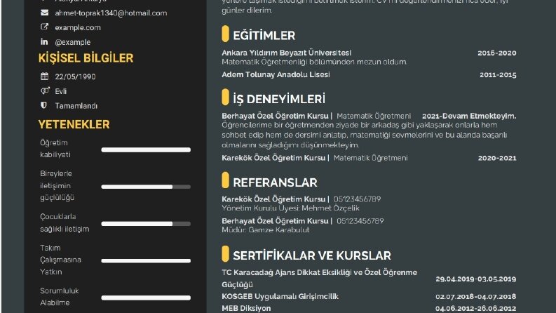 Göz Alıcı Cv Tasarımları 