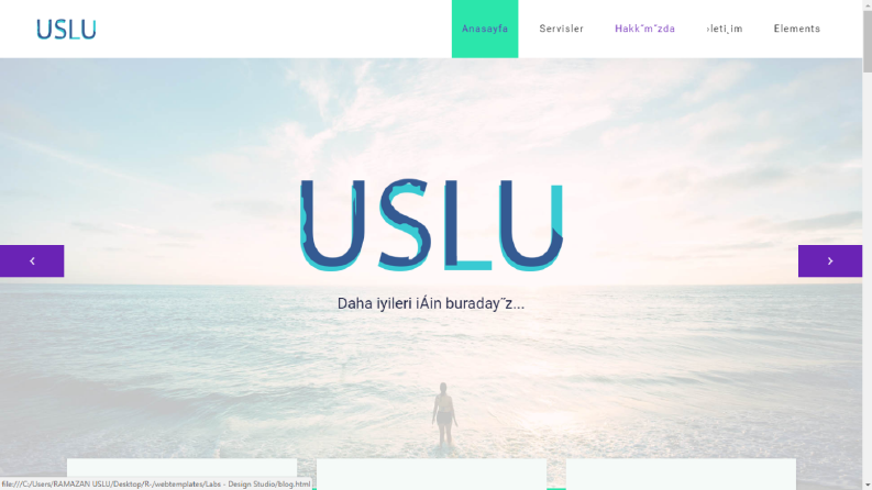 Web Site Örnekleri