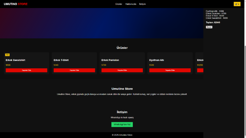 Web Tasarım Demo Çalışmaları
