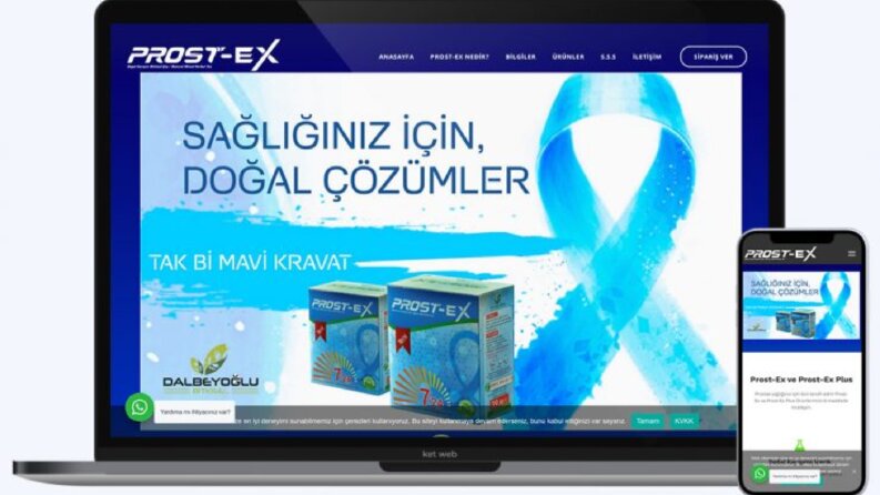 Prost-ex kurumsal web sitesi