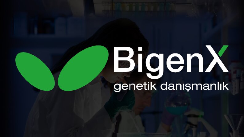 Logo Tasarımı Hizmeti