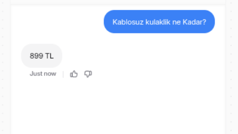 E-Ticaret AI Chatbotu