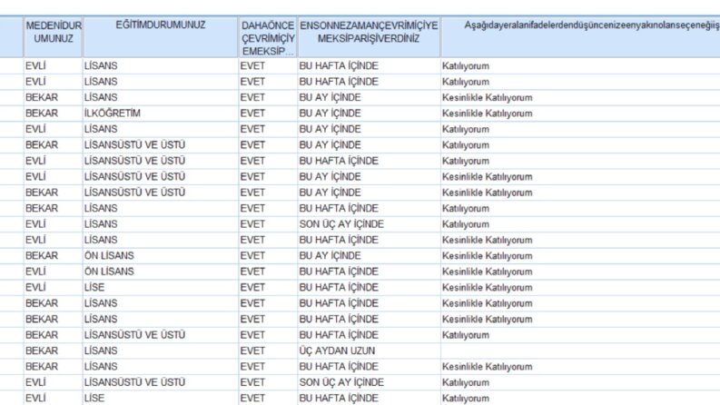 SPSS Analizi