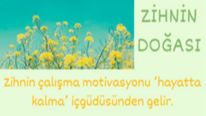Sosyal Medya İçeriği - Görsel Çalışma ve Metin