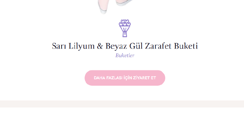 Ai Destekli E-ticaret Web Sitesi