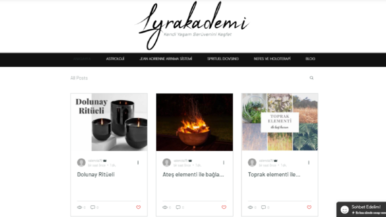 WiX ile Site 