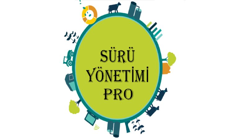 Sürü Yönetimi