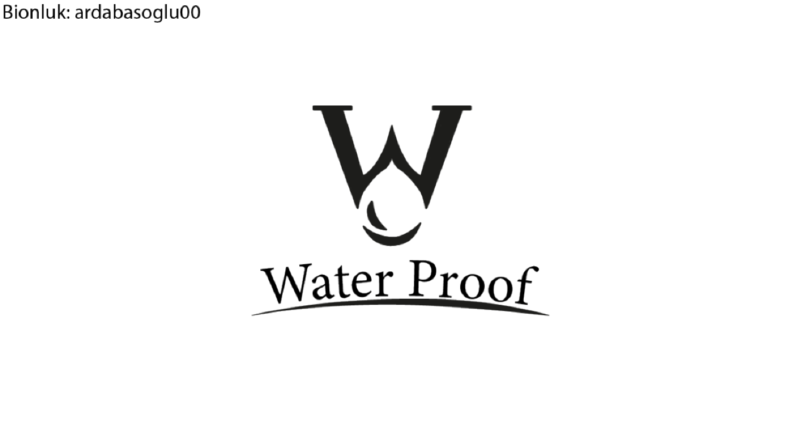 Kurumsal Şirket Logo Örneği