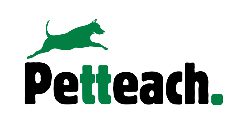 Petteach - Global Köpek Eğitim Uygulaması - Logo Çalışması