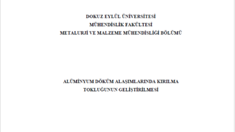 Tez Düzenleme