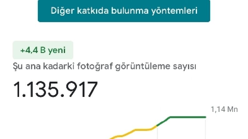 Gezi, Değerlendirme yazıları 