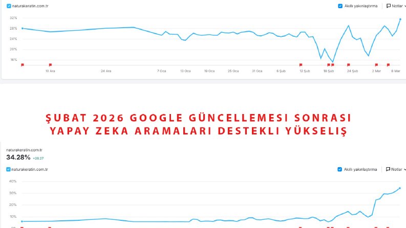 Seo bir başarı hikayesi