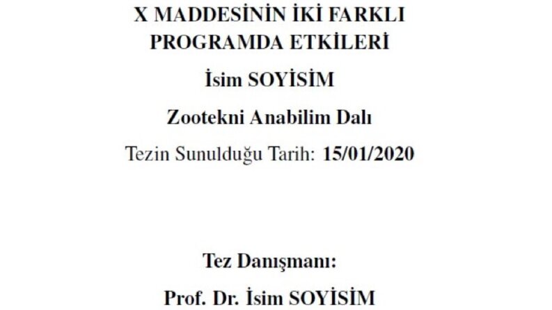 Tez Şablonu Hazırlama