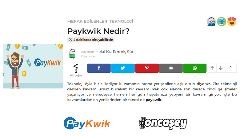 Paykwik Tanıtım Yazısı