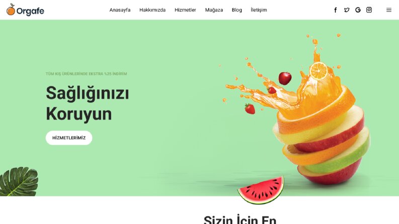 Web Sitesi Çalışması