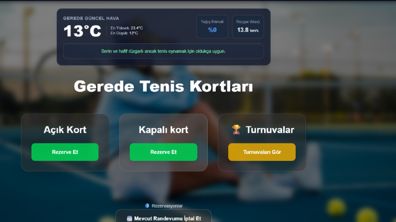 Profesyonel Web Sitesi Tasarımı