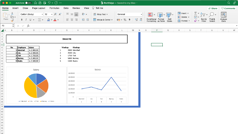 Excel'de data düzenleme & Grafik ve Tablo Oluşturulması