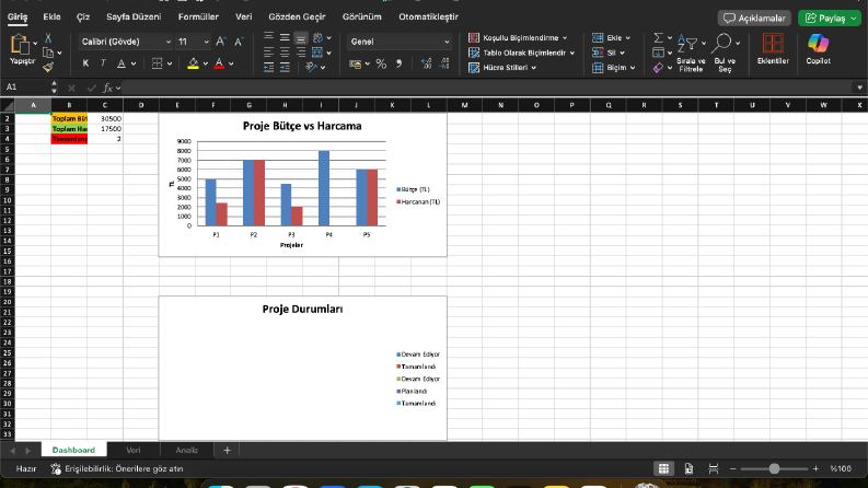 Excel & Veri Analizi