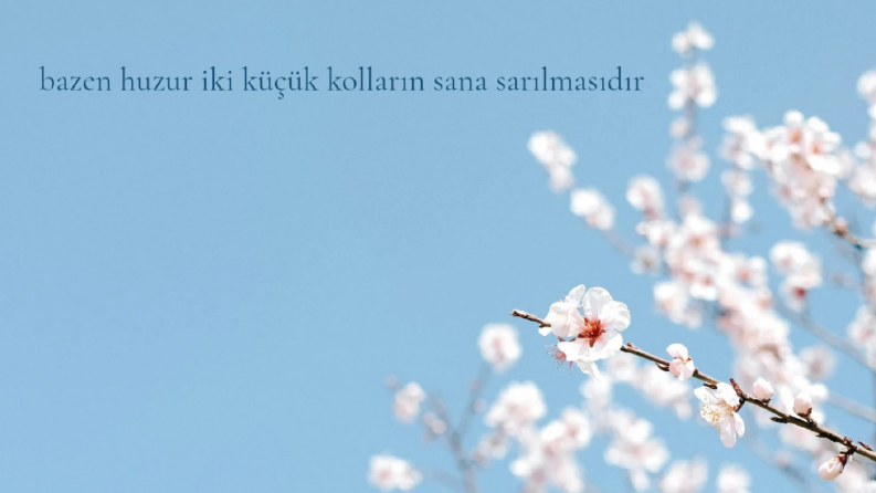 Huzurlu alıntı post