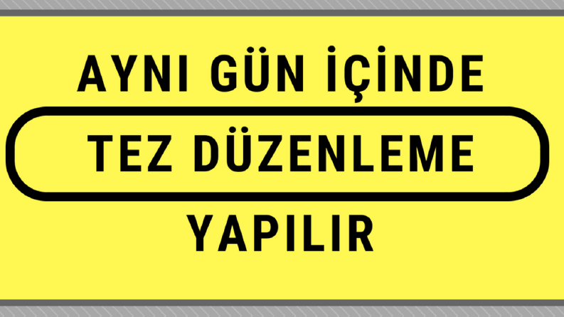 Tez Düzenleme