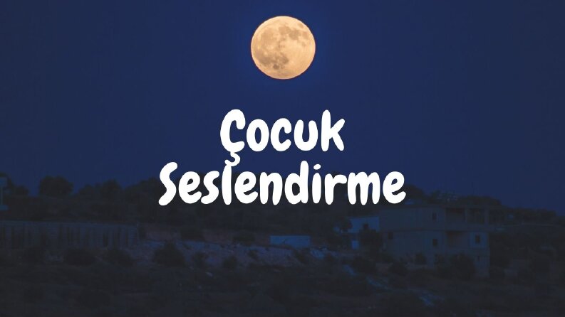 Ses örneklerim