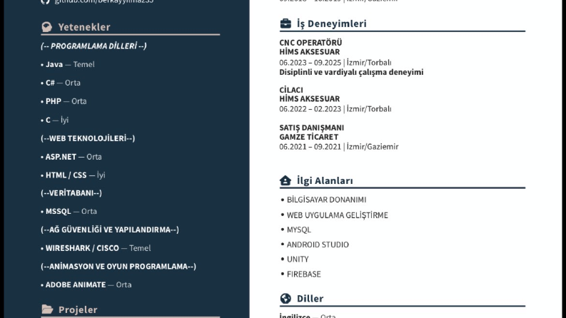 güncel cv