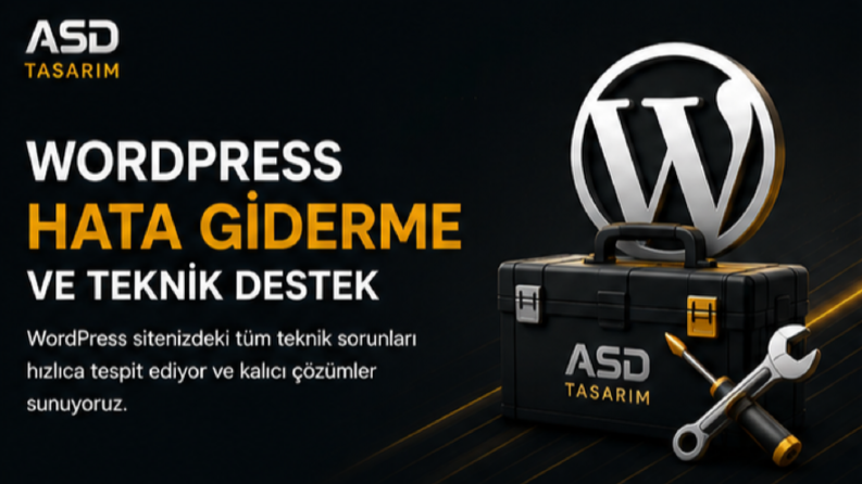WordPress Hata Giderme ve Teknik Destek