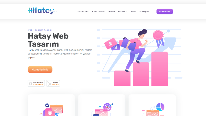 Hatay Web Tasarım Wordpress