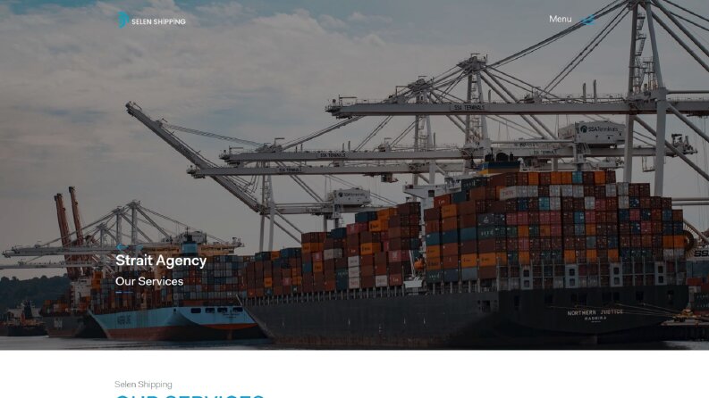 Selen Shipping - Web Yazılım